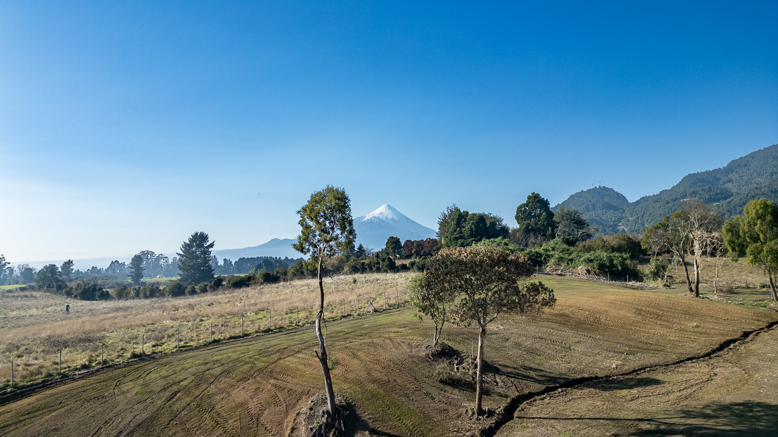 Vista al Volcán Osorno entre árboles nativos en Puerto Varas