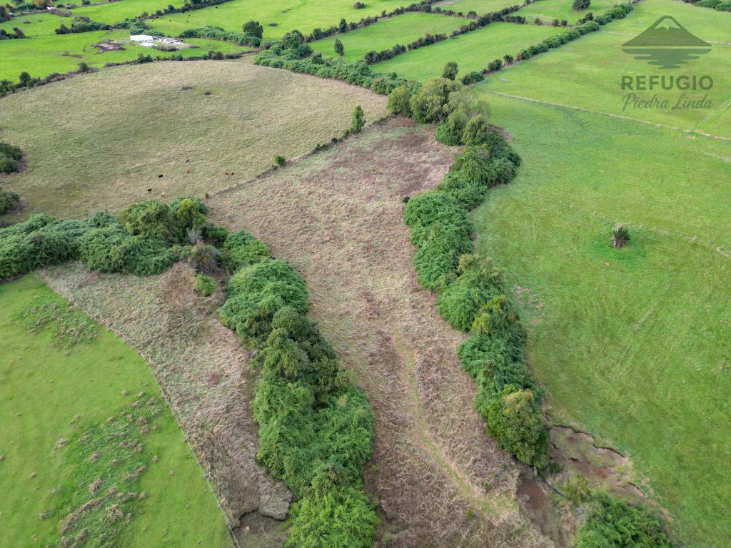 Parcelas delimitadas naturalmente con árboles y vegetación nativa en Refugio Piedra Linda, Puerto Varas